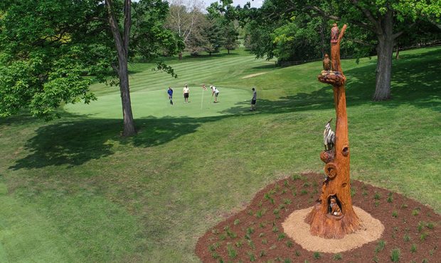 Golf Course Transforms Dying White Oak Tree Into New Sculpture